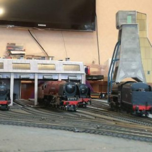 Steam locos on shed ready for the next task